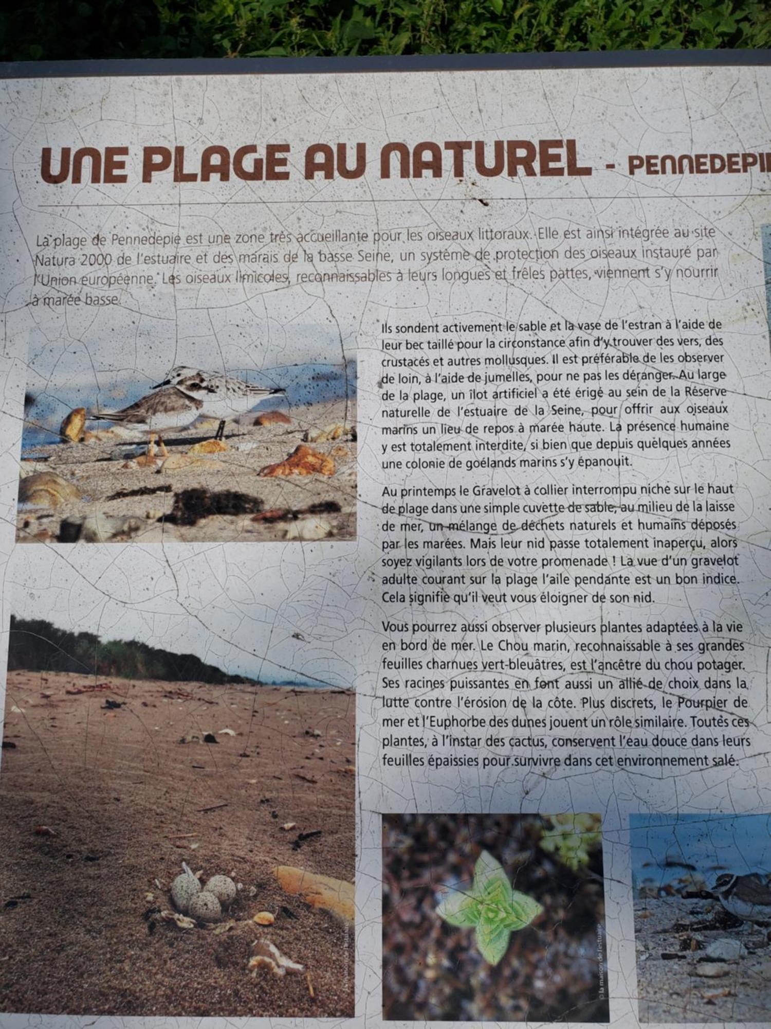 La Griotte & Spa&Piscine Pennedepie Zewnętrze zdjęcie