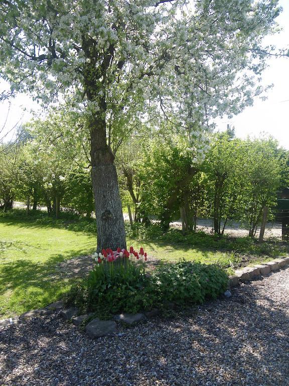 La Griotte & Spa&Piscine Pennedepie Zewnętrze zdjęcie